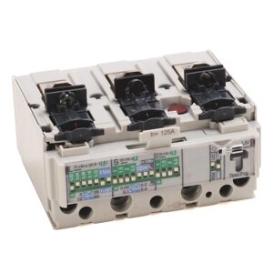 125A Frame Trip Unit